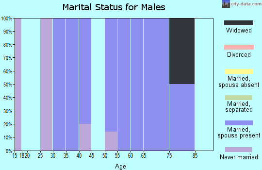 Zip code 17836 marital status for males