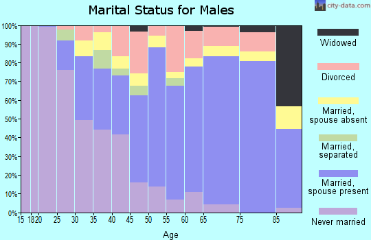 Zip code 17837 marital status for males