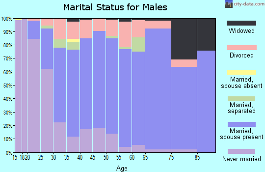 Zip code 17842 marital status for males