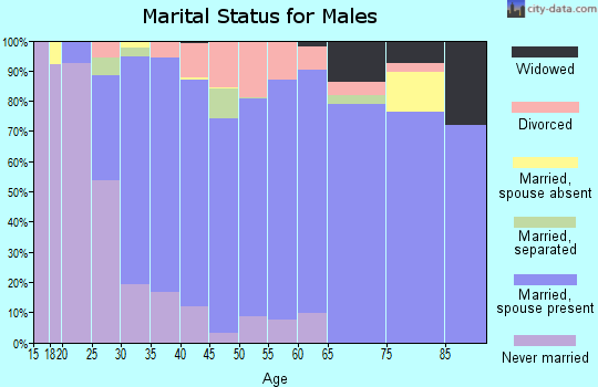 Zip code 17844 marital status for males
