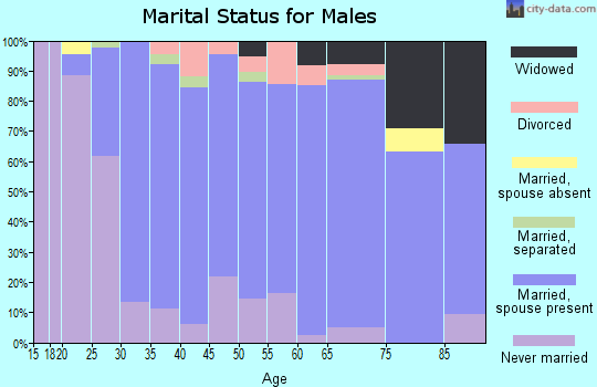Zip code 17853 marital status for males