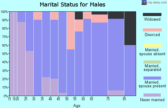 Zip code 17855 marital status for males