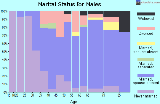 Zip code 17857 marital status for males