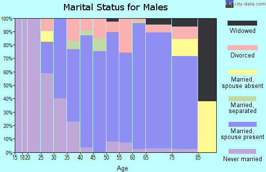 Zip code 17859 marital status for males