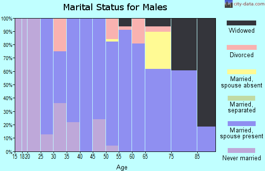 Zip code 17860 marital status for males