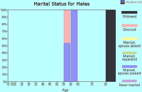 Zip code 17861 marital status for males
