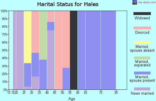 Zip code 17862 marital status for males