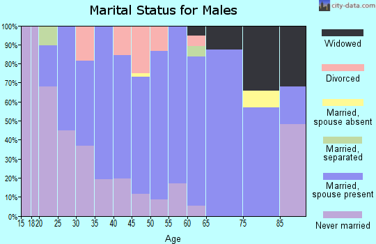 Zip code 17864 marital status for males