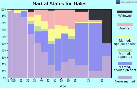 Zip code 17866 marital status for males