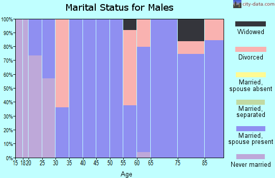 Zip code 17868 marital status for males