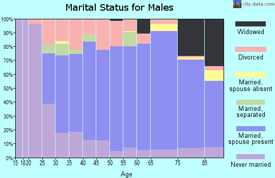 Zip code 17870 marital status for males