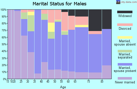 Zip code 17872 marital status for males