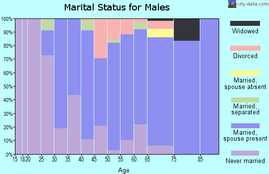 Zip code 17878 marital status for males