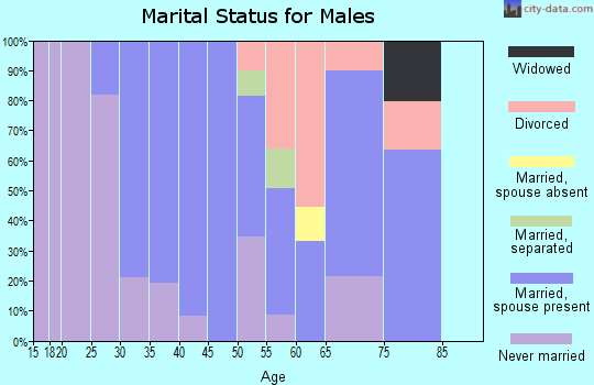 Zip code 17881 marital status for males