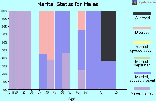 Zip code 17884 marital status for males
