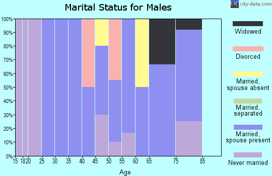 Zip code 17888 marital status for males