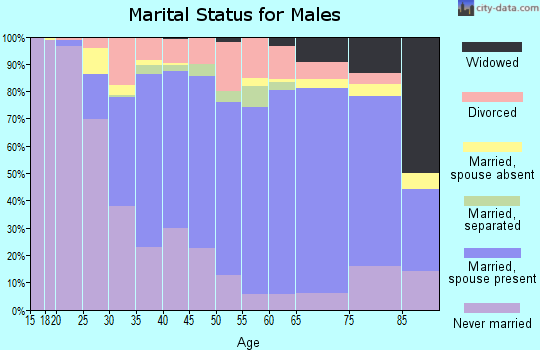 Zip code 17901 marital status for males
