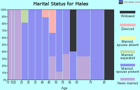 Zip code 17920 marital status for males