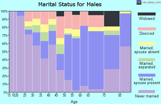 Zip code 17921 marital status for males