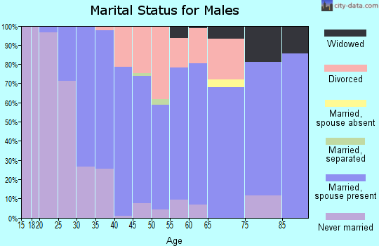 Zip code 17922 marital status for males