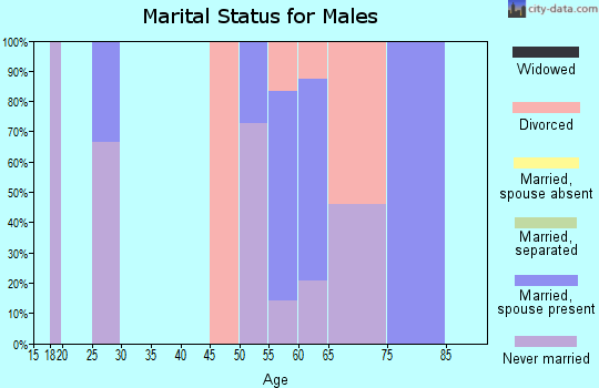 Zip code 17923 marital status for males