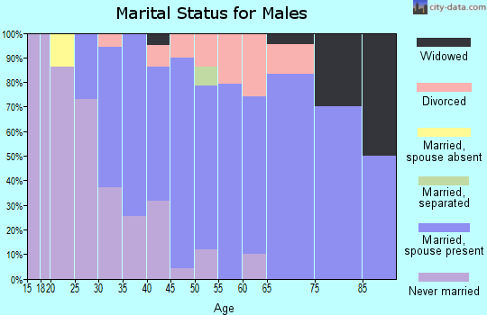 Zip code 17929 marital status for males