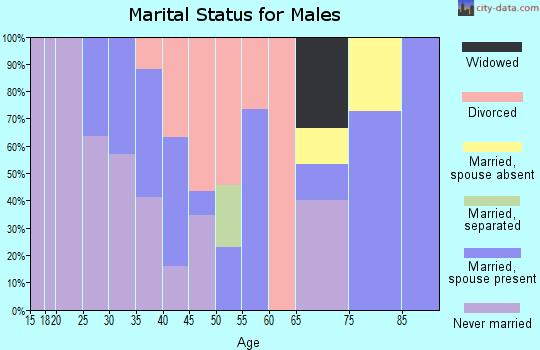 Zip code 17930 marital status for males