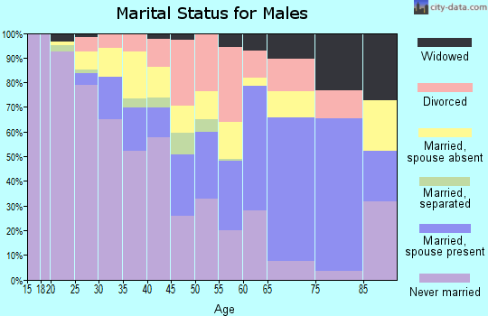 Zip code 17931 marital status for males