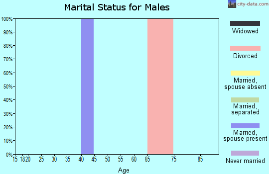 Zip code 17933 marital status for males