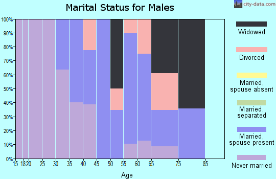 Zip code 17934 marital status for males