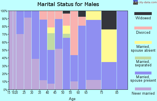 Zip code 17935 marital status for males
