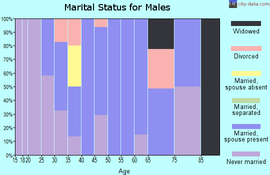 Zip code 17936 marital status for males
