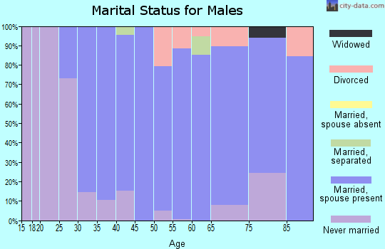 Zip code 17938 marital status for males