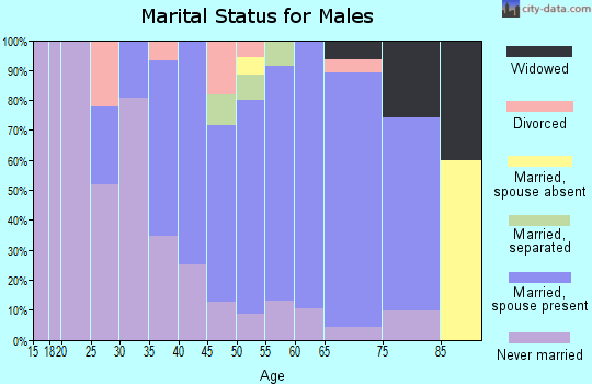 Zip code 17941 marital status for males