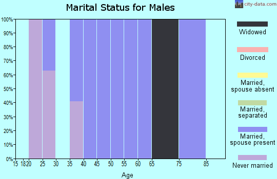Zip code 17944 marital status for males