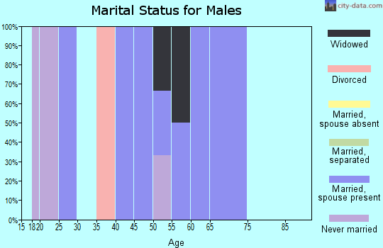 Zip code 17945 marital status for males