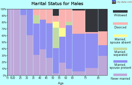 Zip code 17948 marital status for males