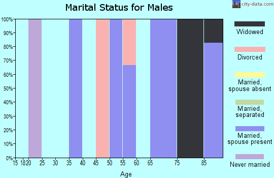 Zip code 17951 marital status for males