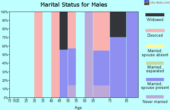 Zip code 17952 marital status for males