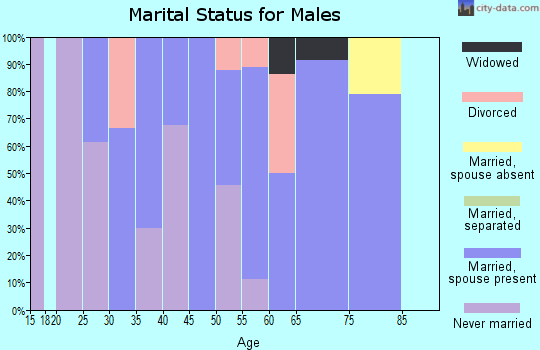 Zip code 17953 marital status for males