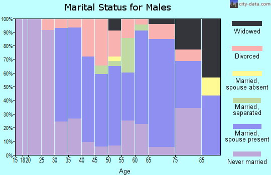 Zip code 17959 marital status for males