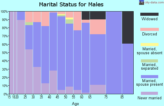 Zip code 17960 marital status for males