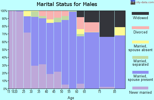 Zip code 17961 marital status for males