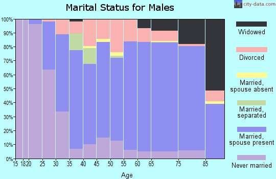 Zip code 17963 marital status for males