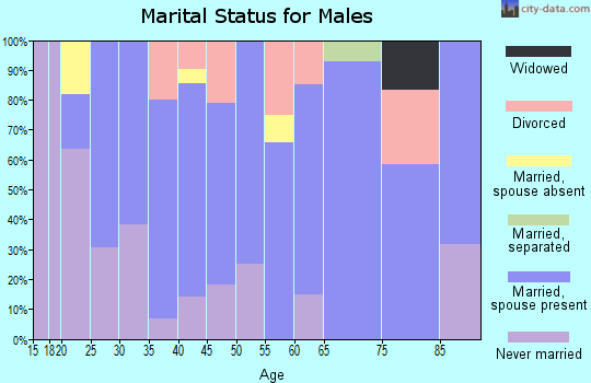 Zip code 17964 marital status for males