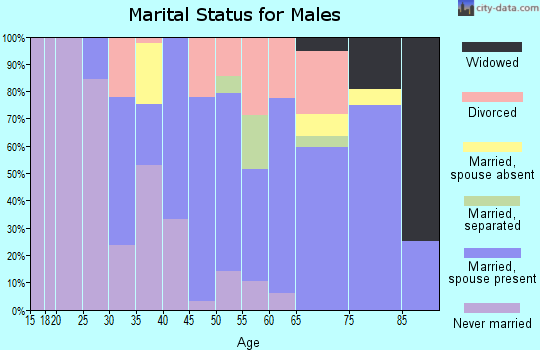 Zip code 17965 marital status for males
