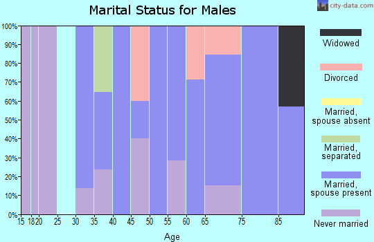Zip code 17968 marital status for males