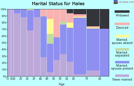Zip code 17970 marital status for males