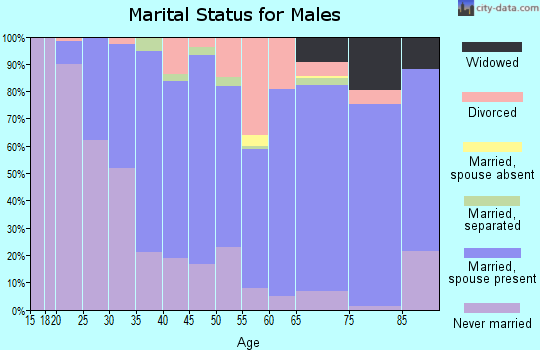 Zip code 17972 marital status for males