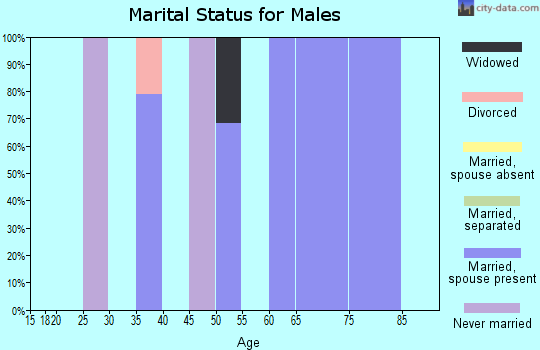 Zip code 17974 marital status for males